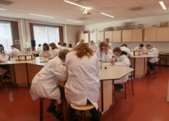 Laboratorní cvičení z chemie
Foto:ŠOt