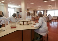 Laboratorní cvičení z chemie
Foto:ŠOt