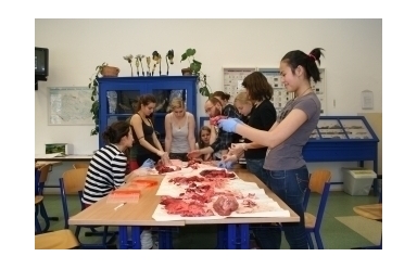 Aktivita 02 - CPP laboratorní cvičení (leden 2014)
