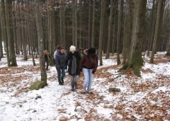 Cesta na Blaník