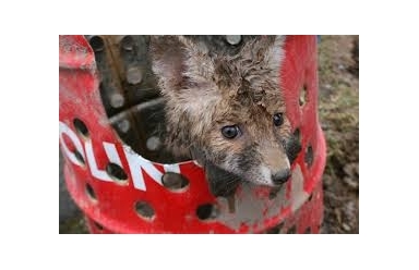 Pozvánka na výstavu, která nás může změnit