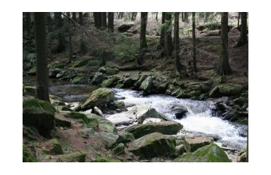 Exkurze Přírodní říční niva a revitalizace říčních toků - 8. 4. 2011