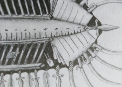 Detail kresby