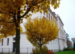 Škola na podzim