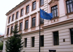 Školní vlajka
