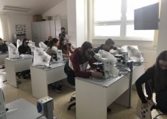 Součástí programu byla praktická laboratorní cvičení "Od sinic k vyšším rostlinám" na Přírodovědecké fakultě JU, vlevo T. Janečková, před ní u okna Jan Prokeš