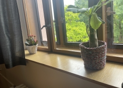Naše třída