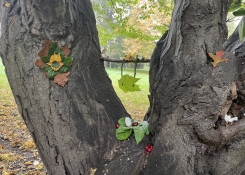 Land art