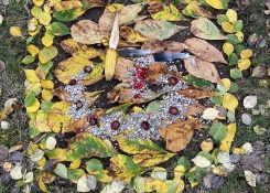 Land art
