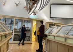Anatomické muzeum