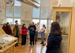 anatomické muzeum