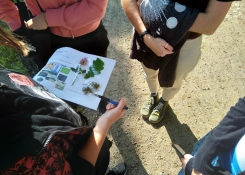 práce s pracovními listy
