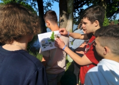 práce s pracovními listy