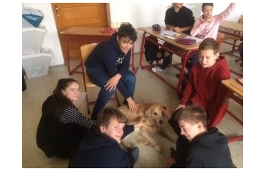 Praktické cvičení ze srovnávací anatomie savců