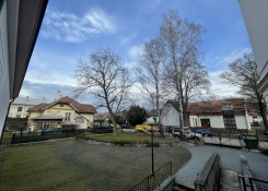 Před pokácením - 23. března 2023