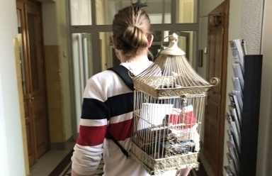 No Backpack Day ve středu 20. dubna 2022