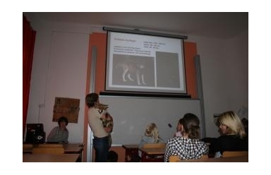 Šelmy v lese, nebojte se