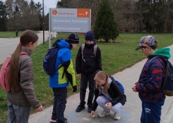 Program se třídním učitelem - šipkovaná
