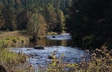 Svatováclavské exkurze 2023 - Šumava