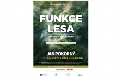 Funkce lesa