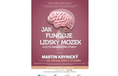 Jak funguje lidský mozek