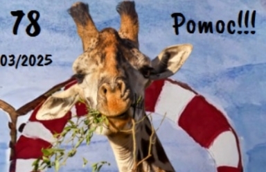 78. číslo GYMu nyní i na webu!