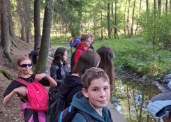 Stezka podél Klenského potoka