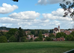 Trhové Sviny