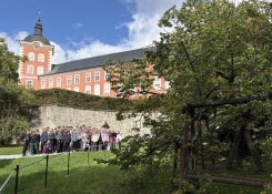 Kamenice nad Lipou je proslulá více než sedm set let starou lípou, která patří k nejstarším stromům v České republice a dala městu jeho jméno.