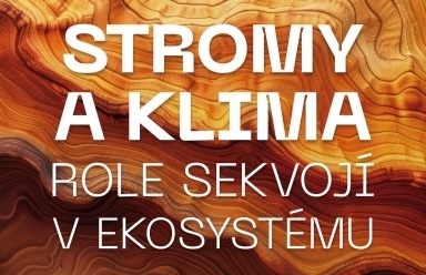 Stromy a klima