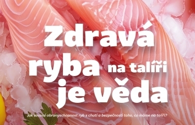 Zdravá ryba na talíři je věda