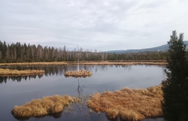 Exkurze za poznáním šumavské přírody