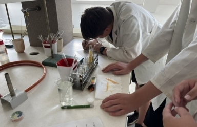 Laboratorní cvičení z chemie pro ZŠ