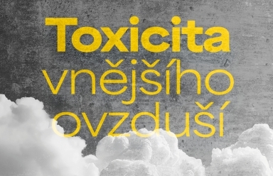 Toxicita vnějšího ovzduší