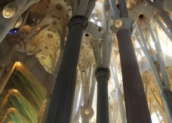 Sagrada Familia - Barcelona
Foto: Dan Kunz a Eliška Kubová