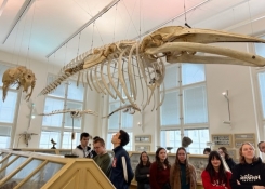 anatomické muzeum